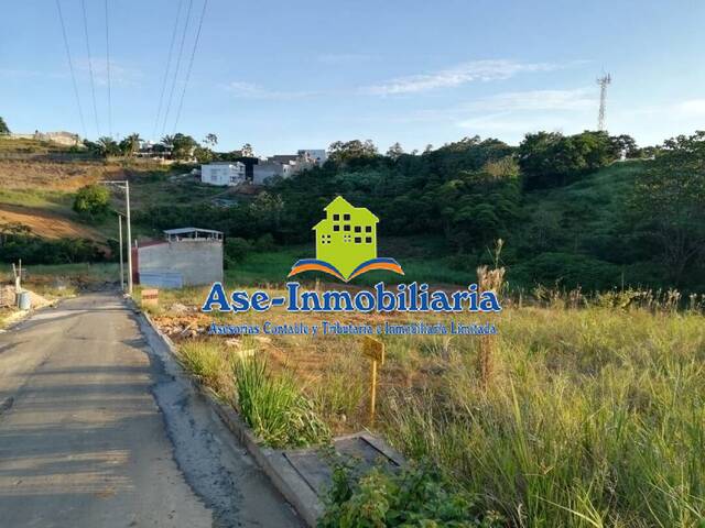 #395 - Terreno para Venta en Florencia - CAQ - 3