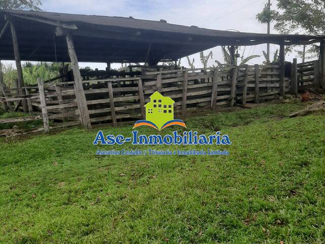 #850 - Granja  Finca para Venta en Milán - CAQ - 3