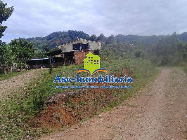 #140 - Granja  Finca para Venta en Acevedo - HUI - 2