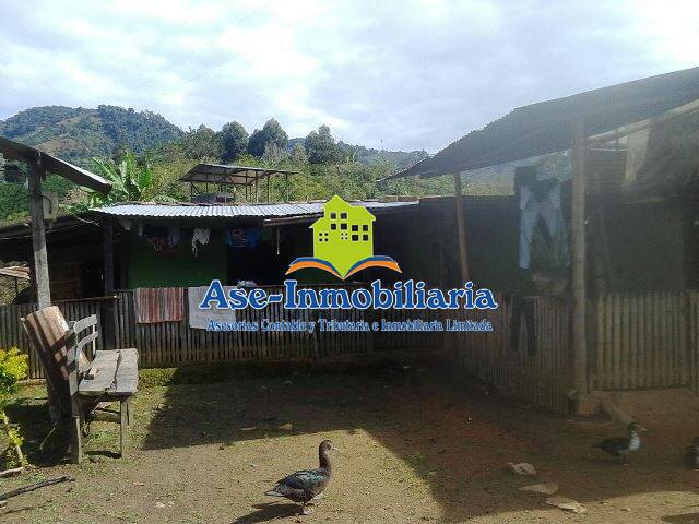 #140 - Granja  Finca para Venta en Acevedo - HUI - 3